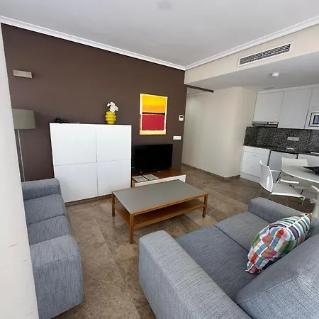 Apartamentos Plaza Picasso-2